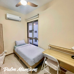 Palm Mansions (D5), Apartment #627018021